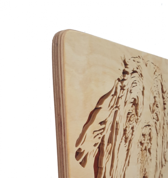 Wandbild Bernhardiner
